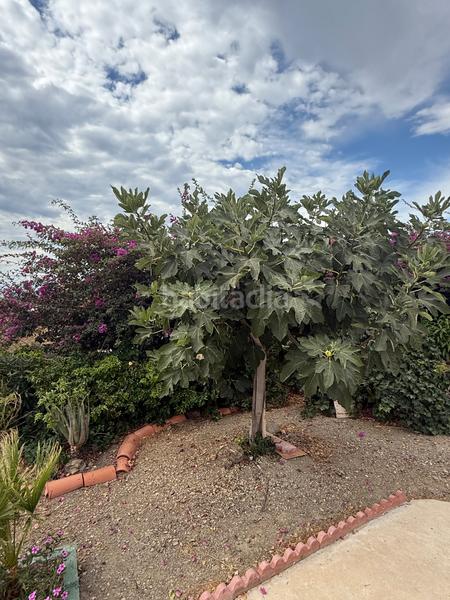 Foto b1d2768f-37ef-4c82-ba89-543afb9eceb2. Bauernhof mit pool in Camino Viejo de Málaga Vélez - Málaga