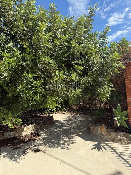 Foto c05603a0-0939-4f62-90c1-b0c593ca5824. Bauernhof mit pool in Camino Viejo de Málaga Vélez - Málaga