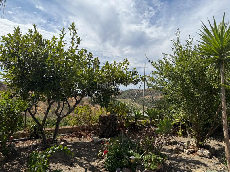 Foto c103292f-12ef-4c7e-8bb3-79a227c818f4. Bauernhof mit pool in Camino Viejo de Málaga Vélez - Málaga