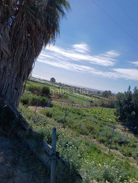 Foto 004a8b66-1748-4c1d-8c06-fabe88de993f. Casale in Almayate Bajo
