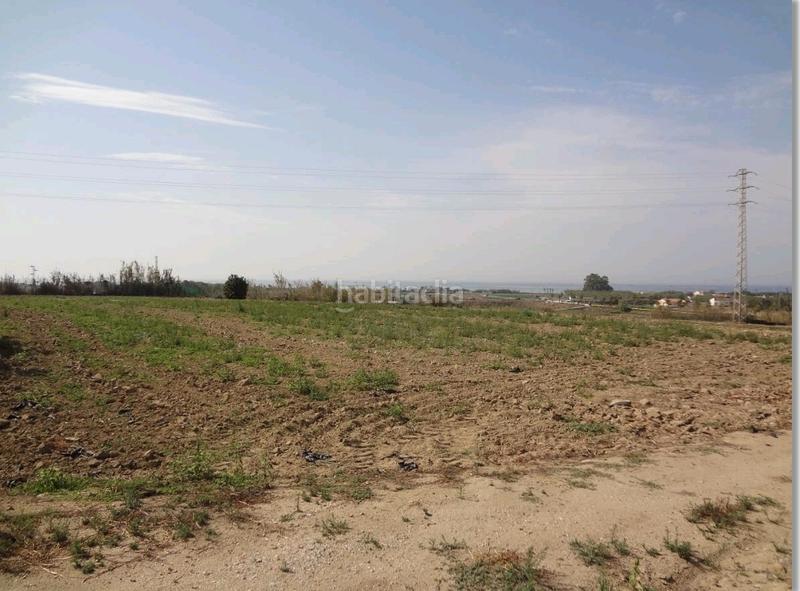 Foto b392a225-1699-48b6-9391-18c3c2ec68da. Casale in Almayate Bajo