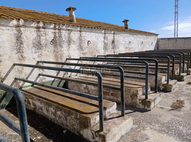 Foto daf1dc44-f84d-4a7a-9778-9ff3ee6330e8. Casale in Almayate Bajo
