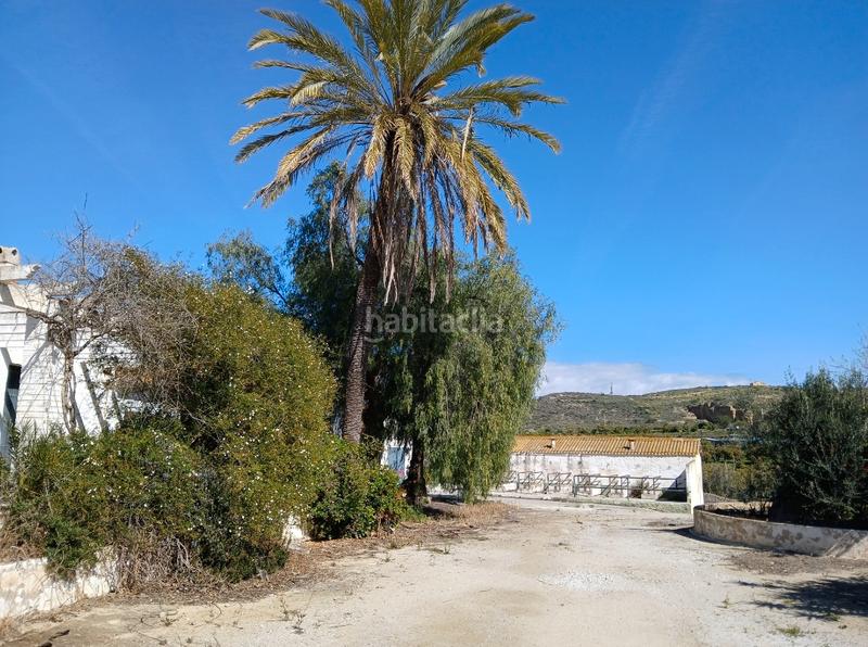 Foto e5f44584-981f-41e3-a7a5-c8a53be7396f. Casale in Almayate Bajo