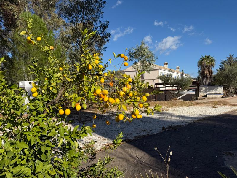 Foto 0d64a455-68ef-49a9-9ad2-dea130cdc523. Gebäude in diseminado diseminados 138 in Guaro