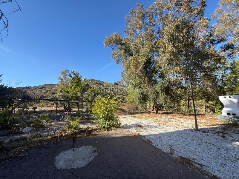 Foto 3230f207-07e8-405d-9d3a-81a77e30d67c. Gebäude in diseminado diseminados 138 in Guaro