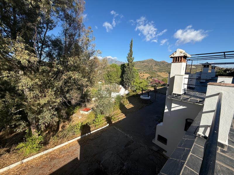 Foto 7cb26e53-2e62-47fb-9bb9-e5f4afb1541f. Gebäude in diseminado diseminados 138 in Guaro