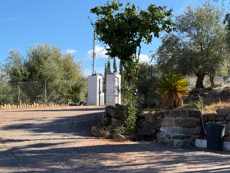 Foto 7e66e002-392c-458a-a820-a43da31ab6fe. Gebäude in diseminado diseminados 138 in Guaro