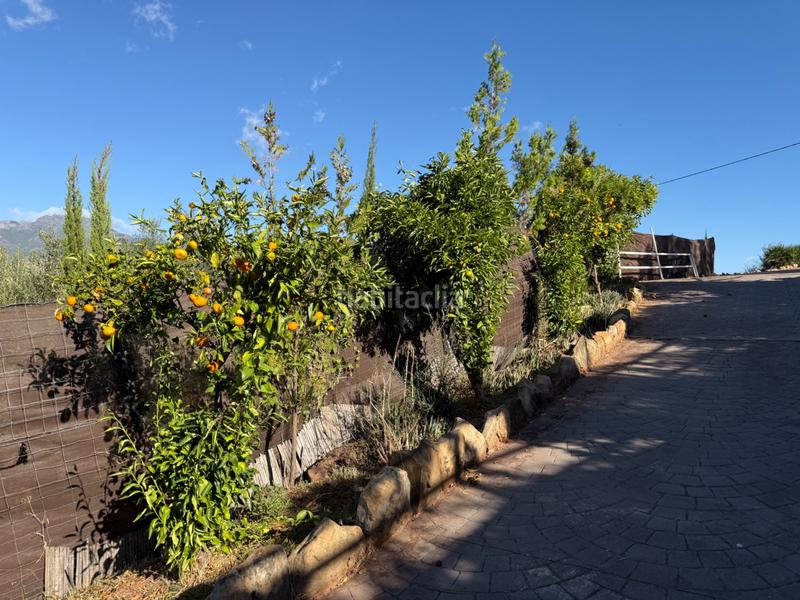 Foto 8043cb16-fee3-4aa7-8356-0e4ac09d6d1f. Gebäude in diseminado diseminados 138 in Guaro