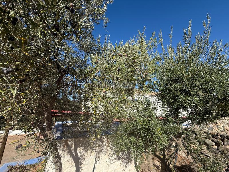 Foto 8fc2804a-c438-4d2d-9979-538260b5725b. Gebäude in diseminado diseminados 138 in Guaro