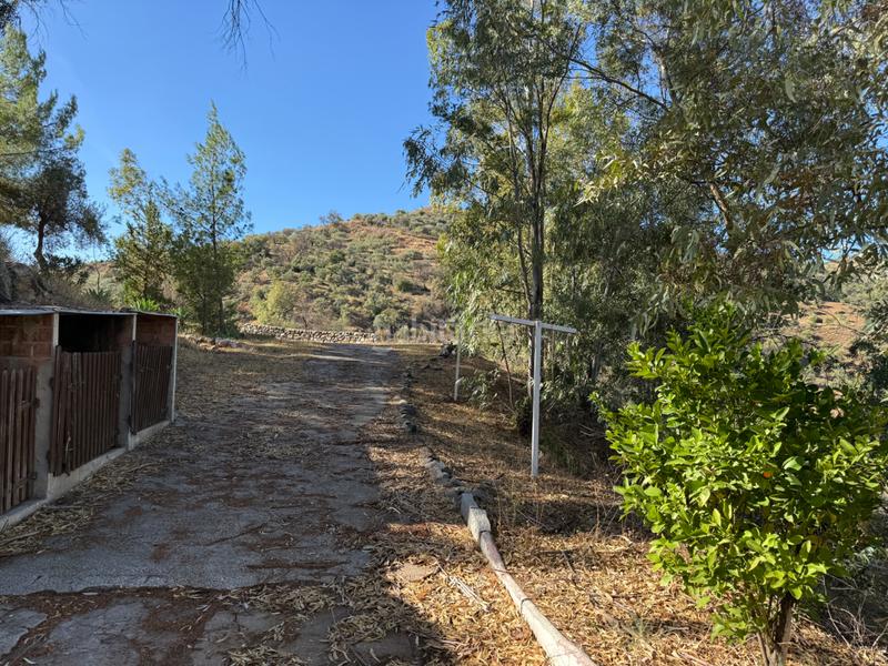 Foto dc93719e-68b9-4641-b580-78201feaa40d. Gebäude in diseminado diseminados 138 in Guaro