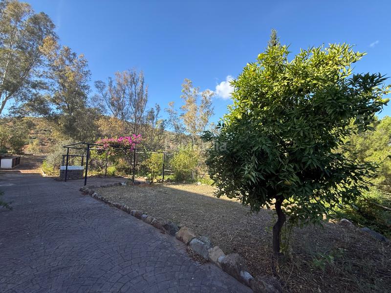 Foto e4063231-cb2b-45c6-8d7e-54b98c8d59b0. Gebäude in diseminado diseminados 138 in Guaro