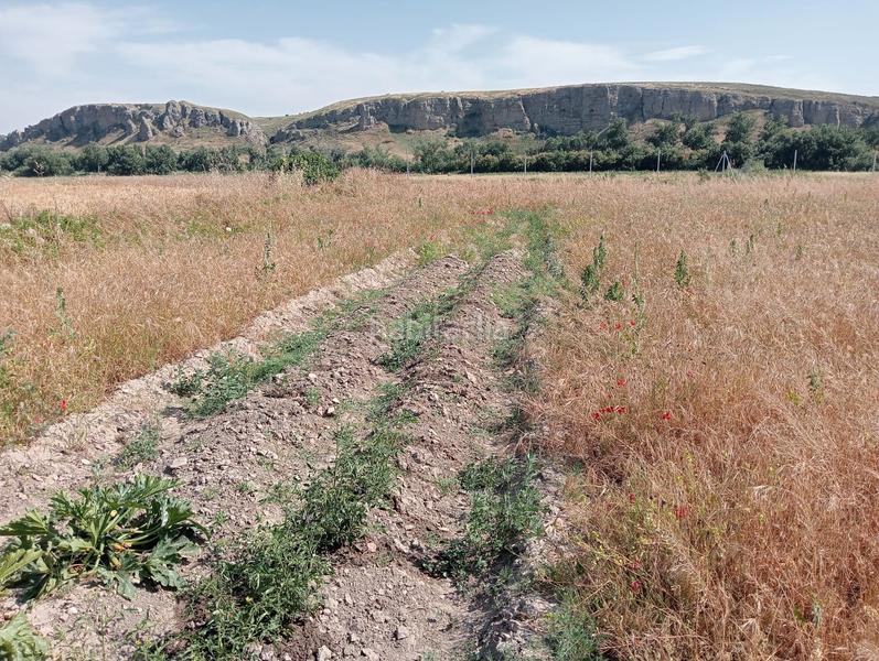 Foto 8a5ea4de-682e-4898-94c3-547b889f9edb. Finca rústica casa de campo en Colmenar de Oreja