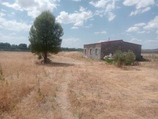 Finca rstica en Colmenar de Oreja. Casa de campo en colmenar de oreja
