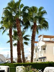 Lloguer Casa a Bolnuevo. Dúplex soleado en bolnuevo  ideal para relajarse en vacaciones