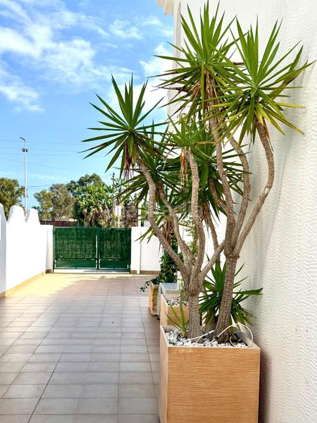 Foto bb3a0323-bc66-4141-8a94-bfa08647d824. Rent house with pool in Bolnuevo Mazarrón