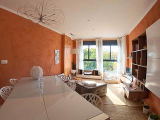 Flat in Plaza Mar Egeo