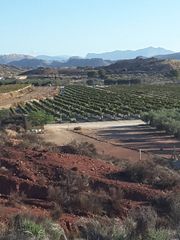 Landgut  Partida sol del camp