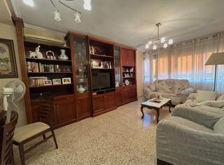 Pis a Florida Baja. Piso en la viña