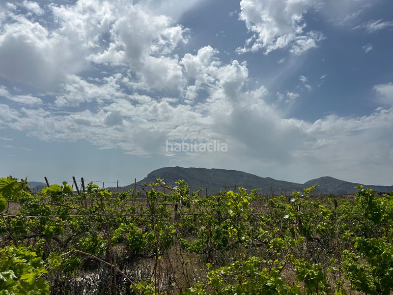 Foto 0ce0fc35-0e0a-4c41-9173-1ce4a5d613e9. Finca rústica a Agost