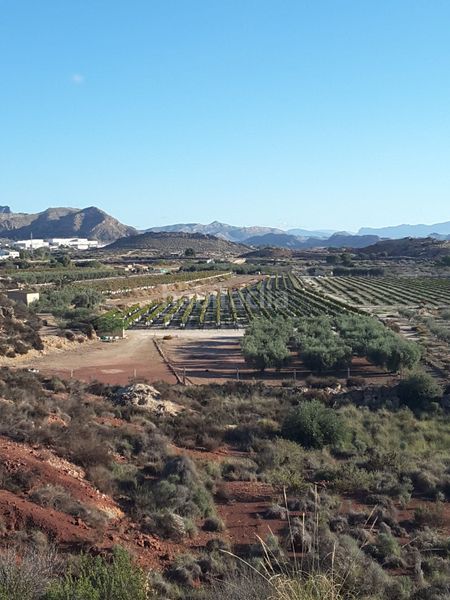 Foto 252f7693-e3dd-41b3-9802-1addf1acac01. Finca rústica a Agost