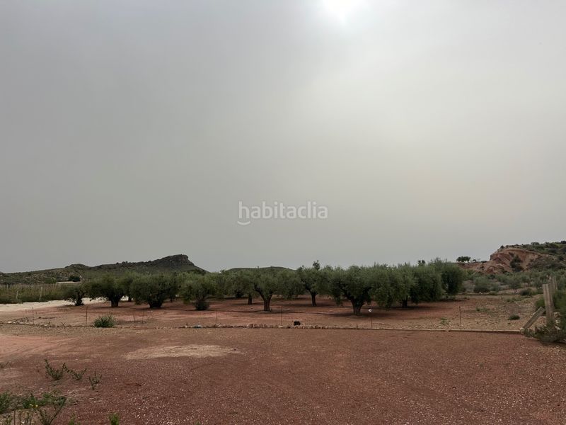 Foto 4f7e039c-a2d1-45a3-85cb-9dbaf60354ea. Finca rústica a Agost