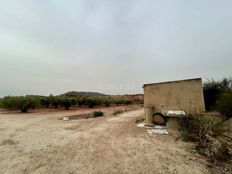 Foto 5018f9a7-8f75-4f93-9210-a14fa47fc432. Finca rústica a Agost