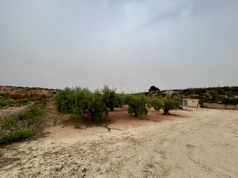 Foto 96a37fc9-22d3-4410-bdd8-0f40be5f8948. Finca rústica a Agost