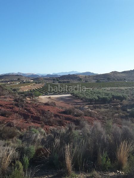 Foto 98ebcf50-b862-4357-a1f3-af215905564f. Finca rústica a Agost