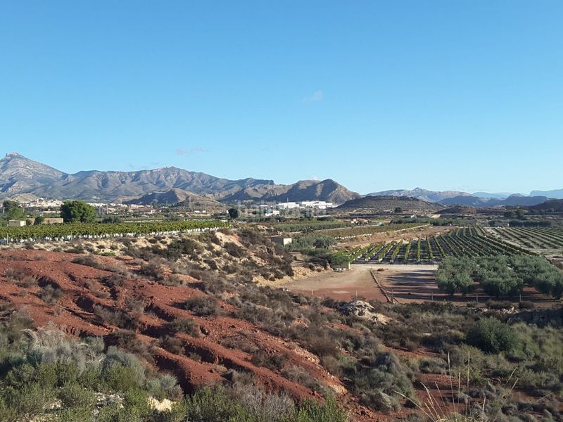 Foto cbc1271d-ee2f-4870-9806-64959d6ac992. Finca rústica a Agost