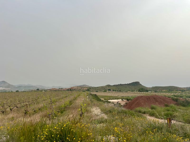 Foto cdf49bfa-9a5a-435e-8b45-da6f97a1b553. Finca rústica a Agost