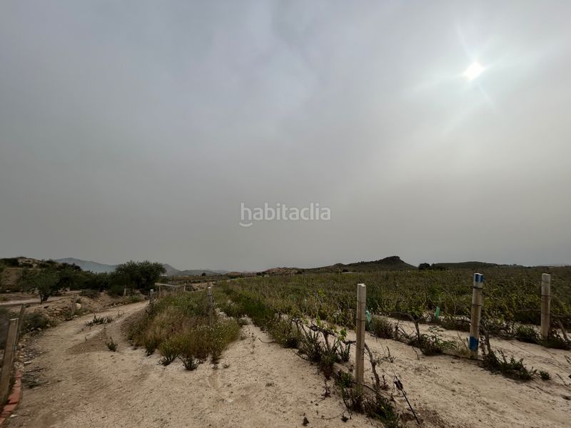 Foto d57f79d8-e224-4e99-bb95-52dbefab0c56. Finca rústica a Agost