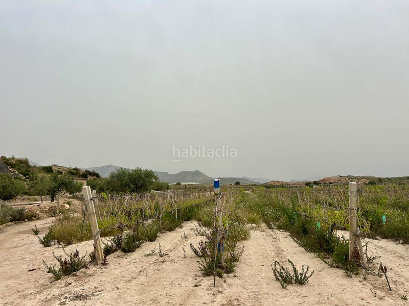 Foto d7d8a637-11cd-4859-9463-3b18db64138c. Finca rústica a Agost