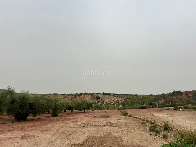 Foto dc6e690c-6bbc-4ee3-a053-feaace61ec74. Finca rústica a Agost