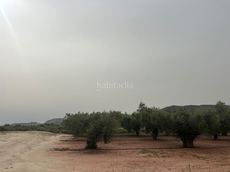 Foto f64eb1df-dd7c-400b-914f-fc061bf8e128. Finca rústica a Agost