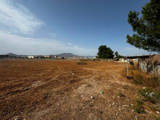 Terreno residencial en Camino de Elche 17