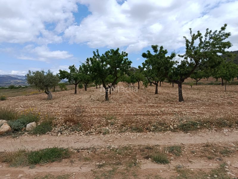 Foto 418a0be8-adfe-457c-bc2b-f52d8e53c493. Finca rústica a n/a a Monòver
