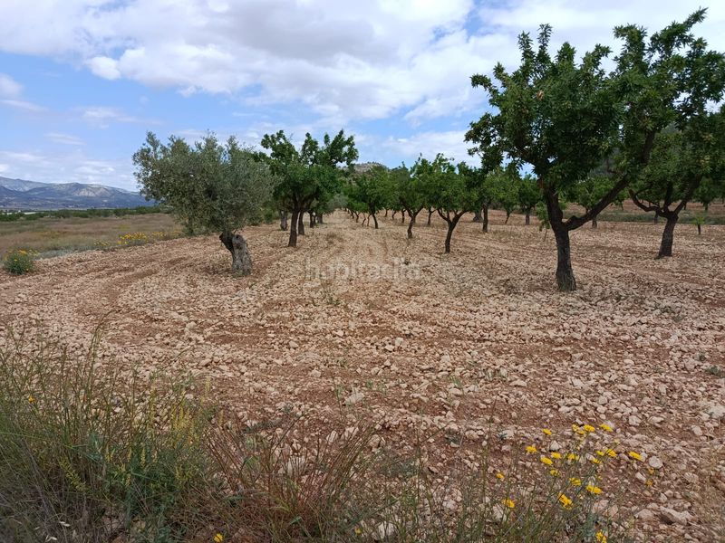 Foto 4d49b6b3-6f39-4b20-b758-ac946157f324. Finca rústica a n/a a Monòver