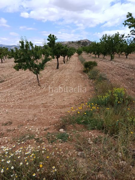 Foto c5c52cec-721d-4812-8229-898cfcf97cce. Finca rústica a n/a a Monòver