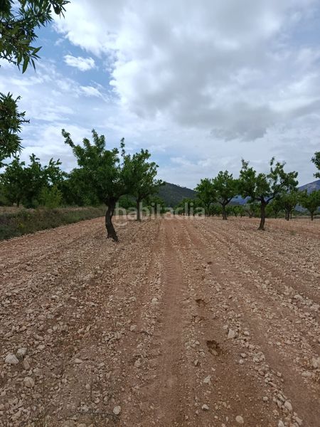 Foto e03c2273-74c8-4c03-a093-8f5ad8cebe0f. Finca rústica a n/a a Monòver