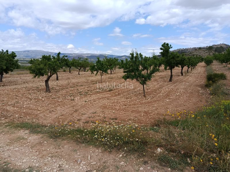 Foto f6a982b5-a6a3-41ed-833b-74d1f1a95d5c. Finca rústica a n/a a Monòver