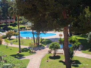 Lloguer Pis  Carrer del tord. Piso en puig de ros