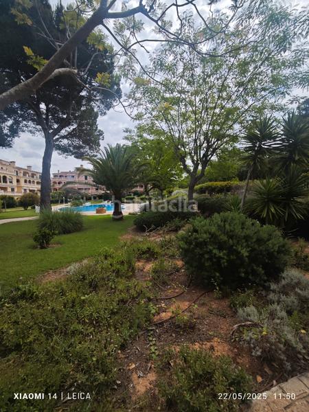 Foto 589de09a-b602-4d26-b0ab-6df8d612bde5. Lloguer pis amb xemeneia calefacció aparcament piscina a Llucmajor