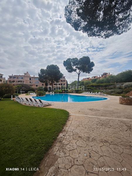 Foto 7c652c6e-7269-4d07-9bb8-bb6cb6121e67. Lloguer pis amb xemeneia calefacció aparcament piscina a Llucmajor