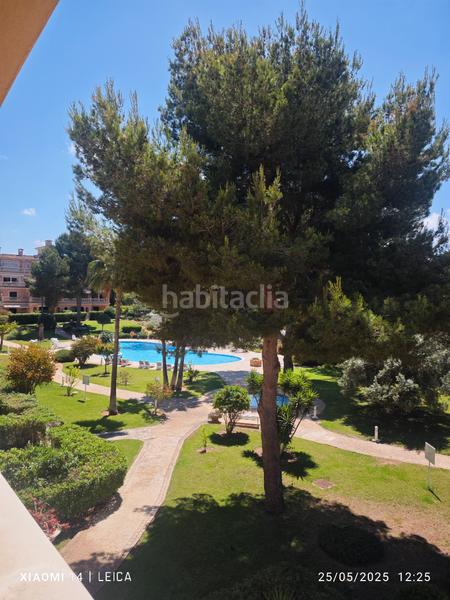 Foto 98d6e81a-e580-4a0c-ba3d-9d8072796e9c. Lloguer pis amb xemeneia calefacció aparcament piscina a Llucmajor