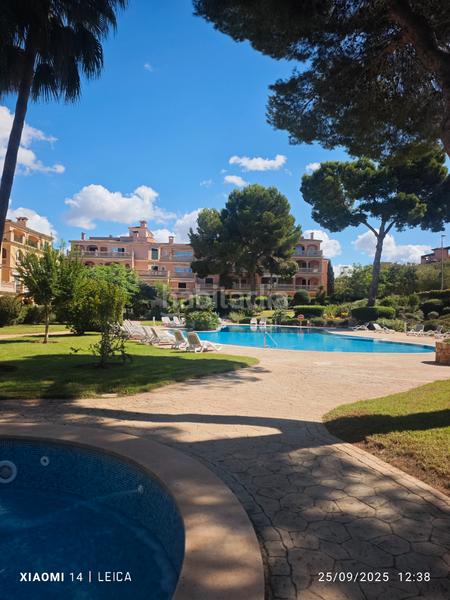 Foto ac8fcf82-c045-49df-ba08-7cf212f4a43b. Lloguer pis amb xemeneia calefacció aparcament piscina a Llucmajor