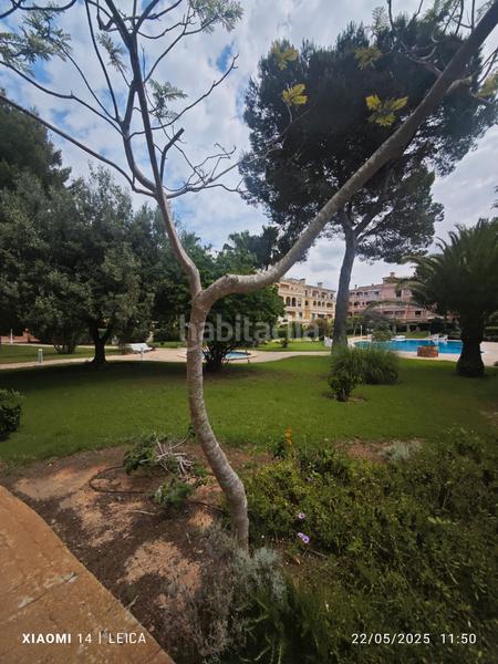 Foto d1d9ee6c-55c6-4938-8e26-af6979aa6473. Lloguer pis amb xemeneia calefacció aparcament piscina a Llucmajor
