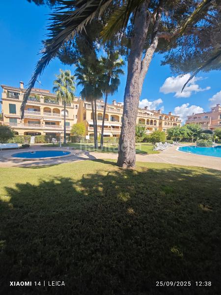 Foto 25068bfd-5d2e-40fc-a761-c226f78bda3e. Rent flat with fireplace heating parking pool in Maioris-Puig de Ros Llucmajor