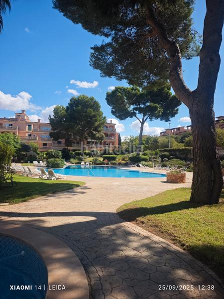 Foto 2ae74827-619a-481b-bf03-d7356165e5b0. Rent flat with fireplace heating parking pool in Maioris-Puig de Ros Llucmajor