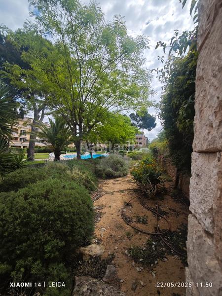 Foto 3459a5d7-7ade-4f6f-a12b-156a7c230116. Rent flat with fireplace heating parking pool in Maioris-Puig de Ros Llucmajor