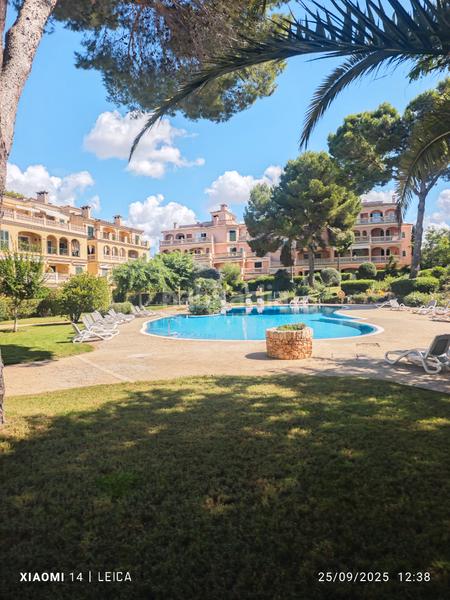 Foto 5b49c8c4-0777-437c-ae1a-596ae6c68876. Rent flat with fireplace heating parking pool in Maioris-Puig de Ros Llucmajor